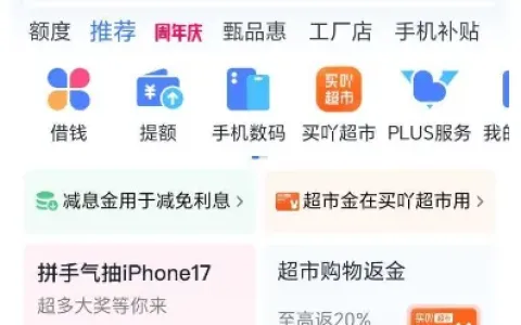 分期乐专项稳定复借到账，连续 9 个月借款成功，乐花借钱多资方放款更有保障