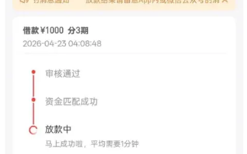 好分期被风控半年成功解除，1000 元小额借款快速下款，长期限制也有获批机会
