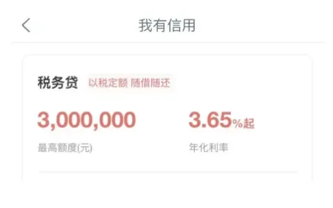 工行税务贷办理流程全梳理，线上申请步骤清晰，续贷条件与操作方法详解，中小微企业经营贷实用指南