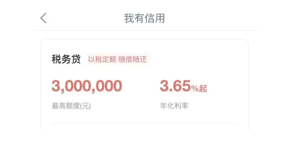 工行税务贷办理流程全梳理，线上申请步骤清晰，续贷条件与操作方法详解，中小微企业经营贷实用指南