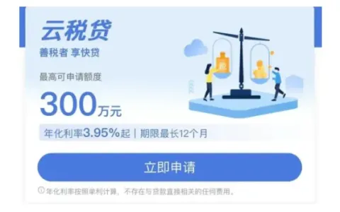 建行云税贷申请被拒原因全面解析，纳税达标仍不通过，提升授信额度的实操方法整理