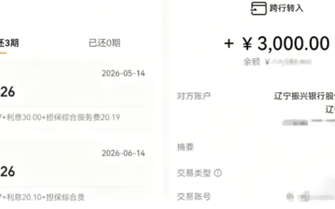 宜口袋借款实测反馈：通过率表现友好，辽宁振兴银行放款 3000 元顺利到账