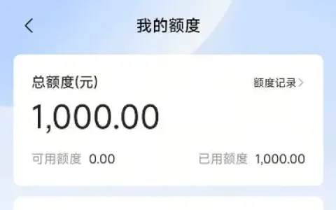 皮皮虾放心借实测反馈：成功下款 1000 元，账户注销优化后通过率更稳