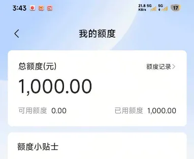 皮皮虾放心借实测反馈：成功下款 1000 元，账户注销优化后通过率更稳