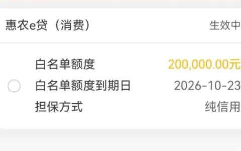 惠农 e 贷获批 20 万元纯信用额度，白名单授信生效，资金领取流程清晰