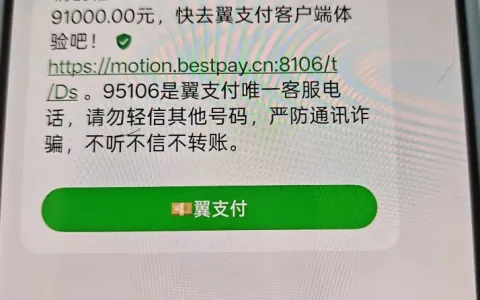 翼支付甜橙借钱匹配京东金条成功放款 91000 元，主入口被拒仍可通过渠道申请