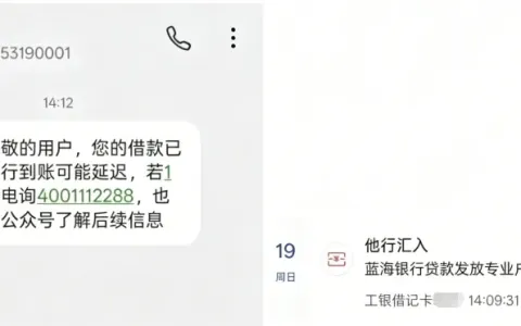 宜享花购买保险后秒批下款 1100 元，到账扣除 85 元礼包费用，长期审核提速实操说明