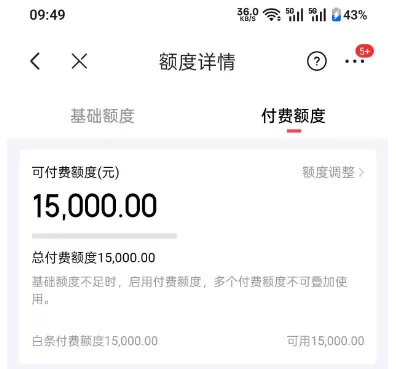 京东付费额度是什么，能否正常使用与违规提现