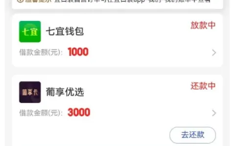 宜口袋多笔申请分批审核放款，提交三笔借款后成功下款 1000 元，平台放款规则实操分享