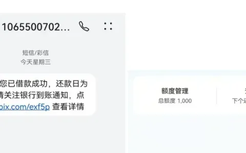 放心借抖音申请未通过，皮皮虾端口开通入口，1000 元小额额度成功获批分享