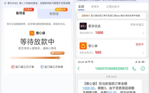 宜口袋首次出额申请遇审核调整，橙心袋 1000 元额度转 500 元显示放款中，先用后付服务需提前留意