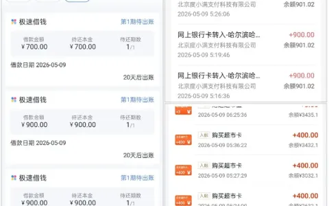 分期乐借款 5200 元伴随超市卡消费，客服可申请退款，息费与售后规则需提前了解