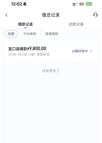 宜口袋 9800 元借款成功获批，历经 3 天审核顺利到账，征信花查询多也有申请机会