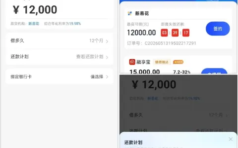 小花钱包内嵌新易花最高可借 12000 元，综合年化 19.98%，12 期分期还款明细清晰可查