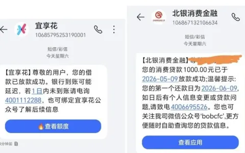 宜享花成功获批 1000 元小额额度，征信存在未结清逾期也可申请，北银消费金融提供放款资金