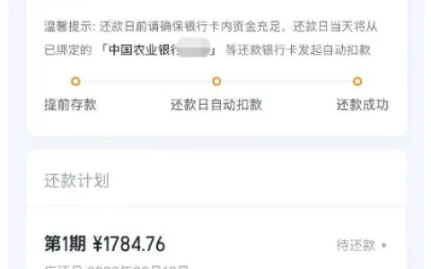你我贷早间提交申请上午即放款，10000 元额度由国民信托出资，分期还款规则清晰透明