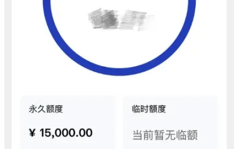 建行信用卡成功核发 15000 元永久额度，账户支持额度调整与账单分期，用卡功能齐全