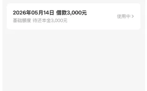 美团信贷复借成功获批 3000 元额度，注销重开后仍可通过，负债与查询偏多不影响审批