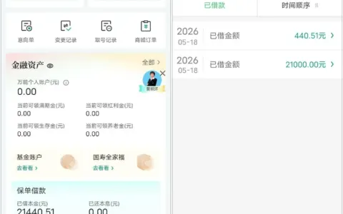 中国人寿保单借款实测：现金价值 80% 可借，线上申请快至实时到账