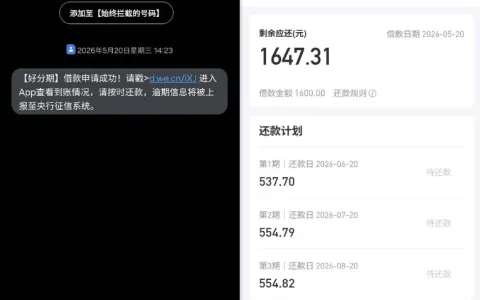 好分期 1600 元借款成功到账，审核通过短信同步提醒，分期还款规则清晰透明