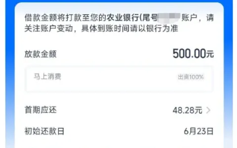 安逸花长期有额度无法借款，APP 端调整操作后 500 元顺利下款，持牌机构出资更安心