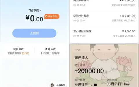 放心借长期被拒后首借成功，完善联系人信息提额至 20000 元，快速提现到账更省心
