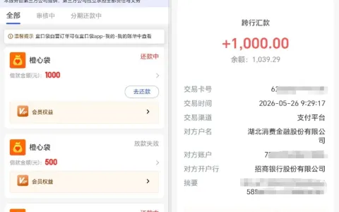 宜口袋橙心袋协调 1000 元次日快速到账，资金到账即秒扣，自主申请频繁显示放款失败