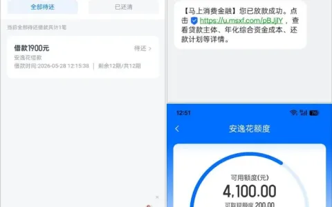 安逸花 APP 长期无额度无法使用，微信小程序申请成功出 6000 元额度，调整金额后顺利秒下 1900 元
