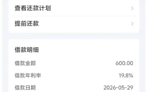 放心借解除 3 个月小黑屋限制，小额分批申请更稳妥，600 元借款快速到账
