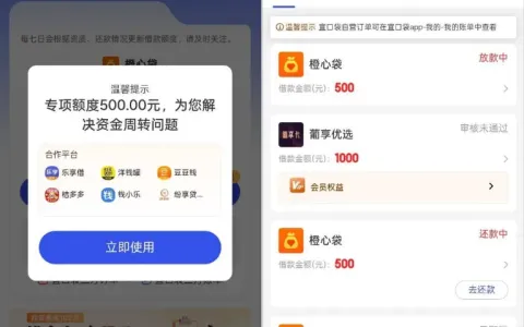 橙心袋 500 元专项额度连续下款，客服协调可解锁，账单到期仍能顺利放款