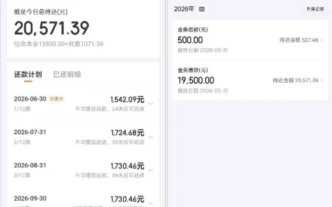 京东金条征信查询频繁且负债偏高，无逾期记录即可成功放款，最高获批 30000 元额度
