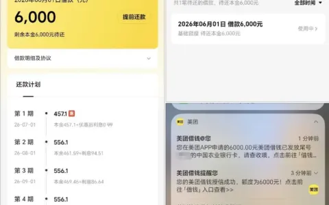 美团借钱高额度申请屡遭驳回，调整策略后 6000 元顺利下款，小额申请审批更高效