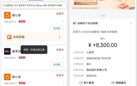 宜口袋橙心袋专属放款通道开启，实测 8300 元成功到账，自动扣除的会员费用可找客服办理退款