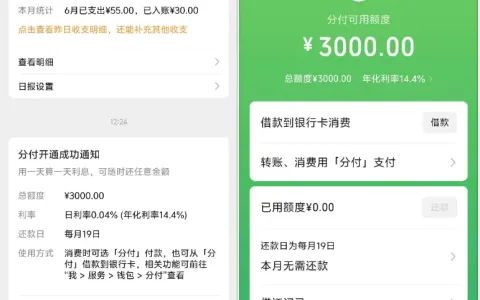 微信钱包页面突发红点定向开放分付，系统自动审批落地，实测开通 3000 元可用固定额度