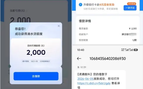 滴滴滴水贷随机开放白名单授信，长期零额度账户实测 2000 元 12 期借款，免人工回访快速放款到账