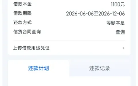 信用飞按月随机派发提额卡片，本月仅获两张提额权益，1100 元借款由辽宁振兴银行成功放款