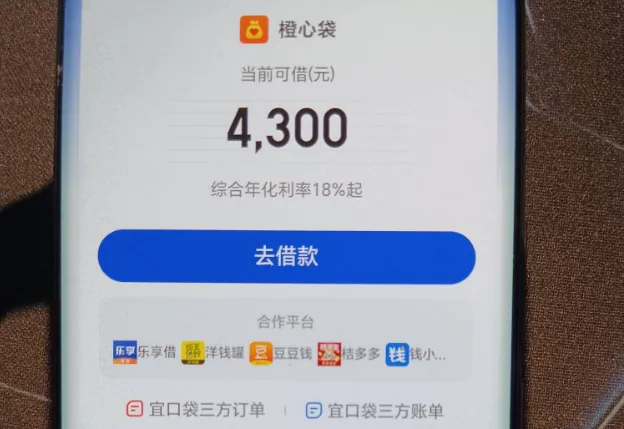橙心袋自动出现专项额度,直接申请还是先咨询客服更合适? 橙心袋自动出现专项额度,直接申请还是先咨询客服更合适?