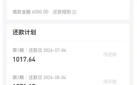 好分期线上审批效率出众，提交申请快速出额，6000 元借款半小时内成功放款