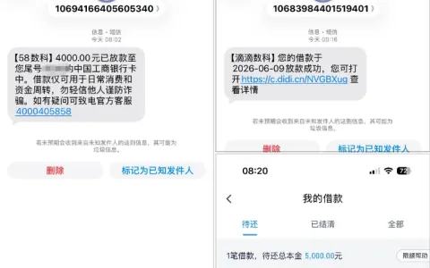 滴滴借钱放款 5000 元、58 数科到账 4000 元，双平台秒到账，多维度资质审核情况解析