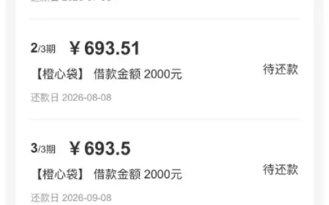 橙心袋沉寂近一年重新成功下款，多类账单查询与逾期还款协商相关问题梳理