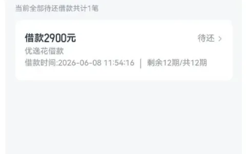 优逸花授信 10600 元额度，仅下放 2900 元借款，历史逾期资质实测与申请指南