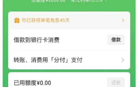 微信分付页面弹出红点提示，成功开通 2000 额度并附带 45 天单笔免息的实测分享
