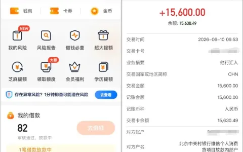 豆豆钱进入审核通过放款中状态，15600 元大额资金到账时长及平台功能实测