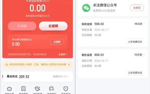 好分期老账号受限无额度，换新号实测拿到 800 元 + 500 元额度，会员与代扣实操经验分享