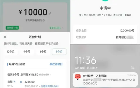 深夜实测抖音放心借，征信存在瑕疵也拿下 10000 元额度，实操流程与申请要点分享