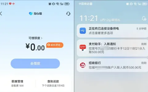 抖音放心借 500 元额度实测提现秒到，利息因人而异，可循环使用经验分享