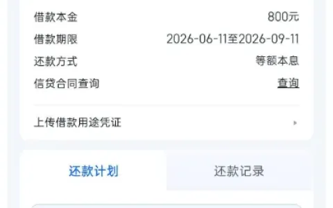 信用飞 800 元小额借款实测到账，审批门槛宽松，分期与还款功能全面解读