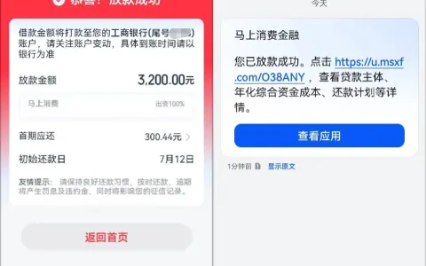 优逸花 3200 元额度深夜成功放款，安逸花受限账号实测申请技巧分享