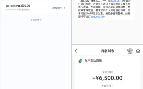 宜口袋注销账号换手机号重注册实测，6500 元顺利下款，审核回访与银行卡风控解答