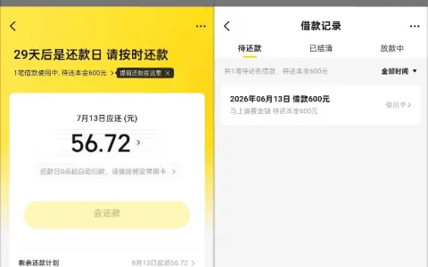 美团借款 600 元顺利下款，多款平台存在逾期仍审核通过，实操流程全解析